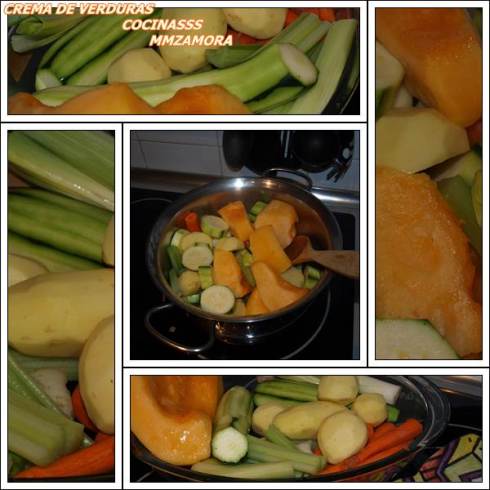 COLLAGE DE CREMA DE VERDURAS